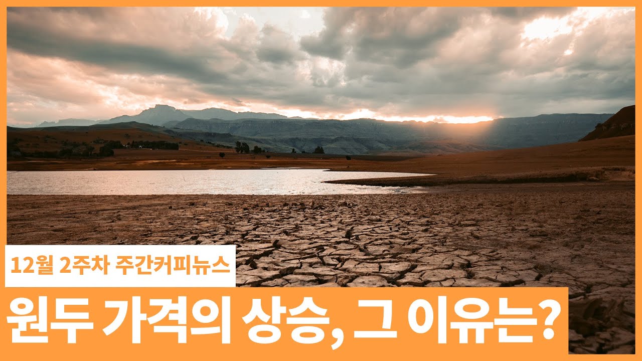 원두 가격의 상승, 그 이유는? / 12월 2주 주간커피뉴스, 커피TV