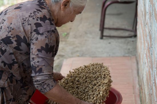 카파임포트, 여성 커피농부 지원프로그램 진행